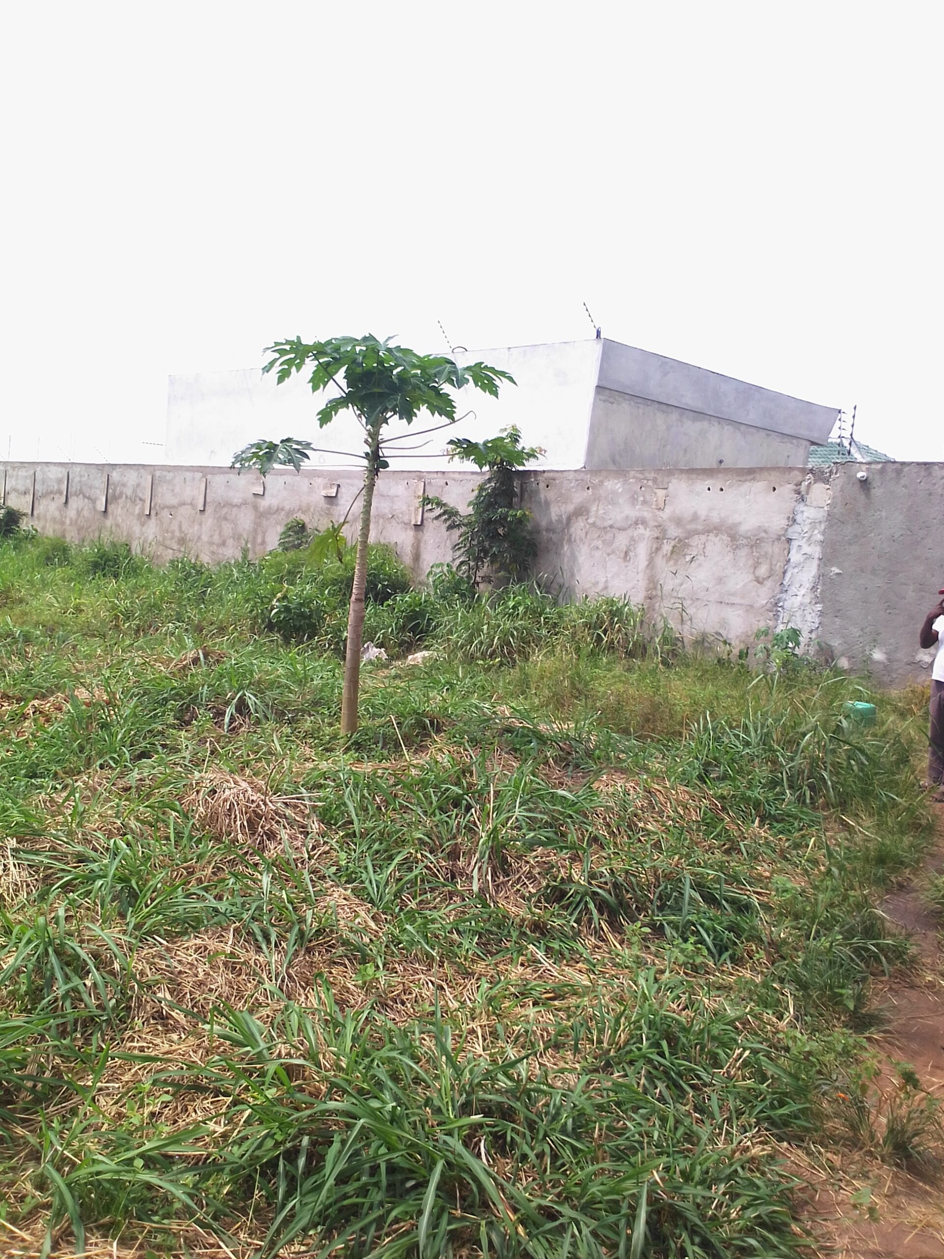Terrain 600 m2 approuvé à Bingerville