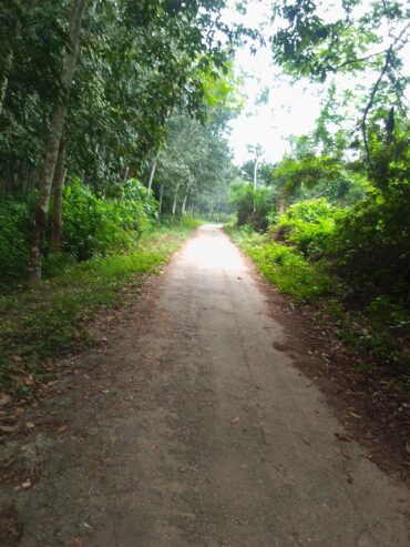 Lotissement 05 hectares à Yakassé-mé