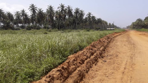 Terrains avec ACD à Jacqueville Adoumangan