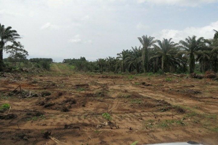 TERRAIN AVEC APPROBATION A M’BAHIAKRO