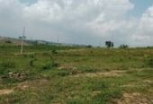 TERRAIN AVEC APPROBATION A M’BAHIAKRO