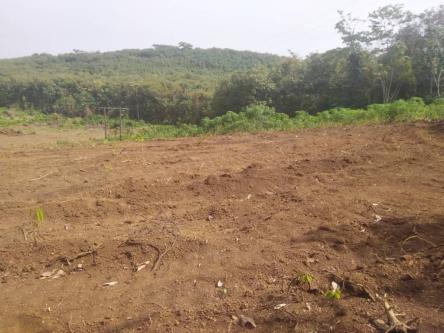 TERRAIN avec approbation à Assouindé