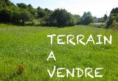 EN VENTE UN TERRAIN 55 hectares à ASSOUINDE/ASSINI avec ACD.