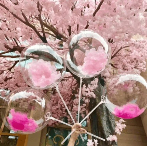 Ballon transparent avec plume
