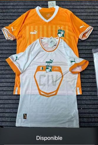 Maillot de Côte d’Ivoire Version pro