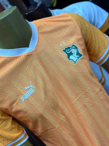 Maillot de Côte d’Ivoire Version pro