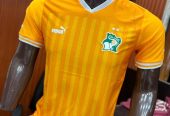 Maillot de Côte d’Ivoire Version pro