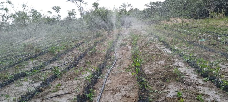 Système d’irrigation LASER SPRAY