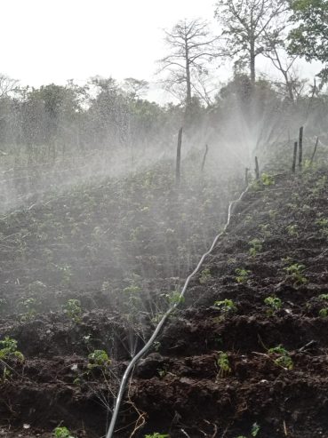 Système d’irrigation LASER SPRAY