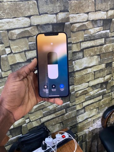 IPhone 12 Pro Max Sans Face ID