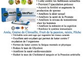 MenPlus