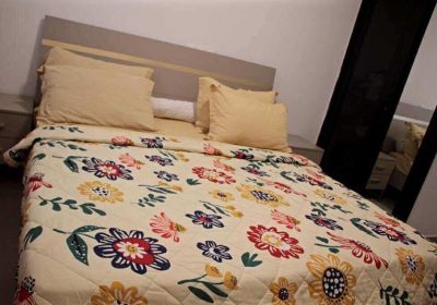 e01ebf55-6465-4178-ada9-6a3da9d106bd